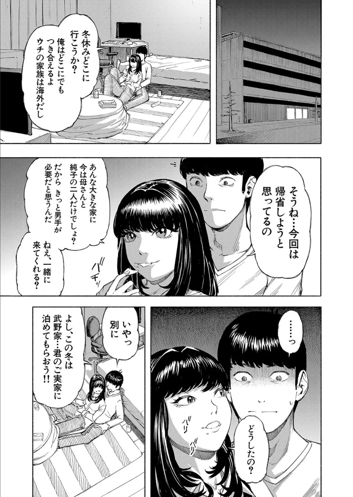 武野家の謎 (ディングル)